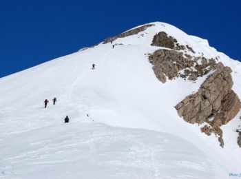 Tour Schneeschuhwandern Laruns - Randonnée raquettes Pic de Peyrelue 2441m - Photo