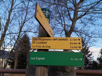 Randonnée Marche Laye - les Sagnes du Plateau de Bayard. (20-01-19)A prox - Photo