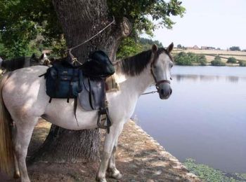 Tocht Paard Bonnay - Tour équestre du Haut Charolais - Saint-Ythaire - Suin - Photo