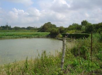 Randonnée Marche Saint-Josse - Les Bas Champs - Villiers - Photo