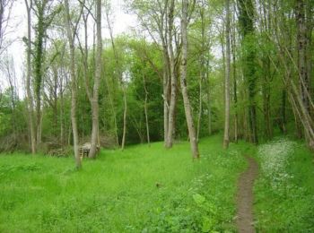 Tocht Stappen Longvilliers - Le bois de Longvilliers - Photo