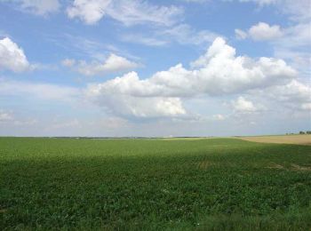 Tocht Stappen Dainville - Chemin le Wagnonlieu - Dainville - Photo