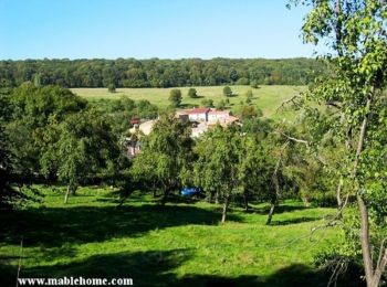 Percorso Mountainbike Saint-Hubert - Randonnée du Haut Chemin - Le chêne des Moines - Villers Bettnach - Photo