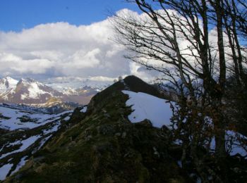 Tour Schneeschuhwandern Aucun - Pic de Cantau Pic de Berbeillet en raquettes - Photo