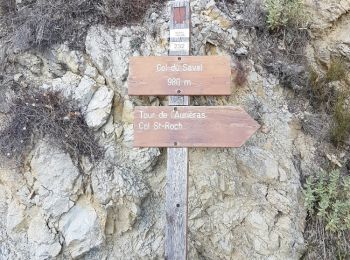 Percorso A piedi Lucerame - Col St roch - Photo