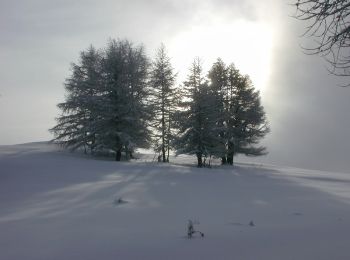 Tocht Stappen Saint-Jacques-en-Valgodemard - Tour du Vieux Chaillol 1/5 - Gite Les Paris au Gite Le Casset - Photo