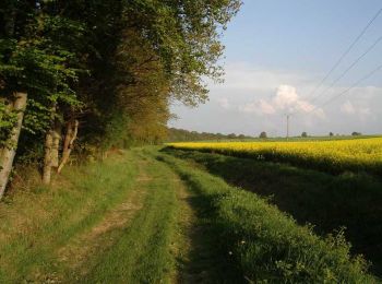 Trail Walking Mesnil-en-Ouche - Circuit des vallons d'Epinay  - Photo