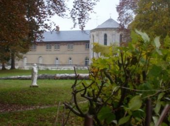 Tour Wandern Dourdan - De Dourdan à La Forêt le Roi - Photo