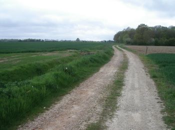 Percorso Marcia Mesnil-en-Ouche - Circuit des Masniéres  -  La Roussière    - Photo