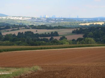 Excursión Senderismo Jambville - De Jambville à Maudétour en Vexin - Photo