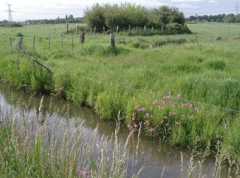 Randonnée Marche Saint-Tricat - La boucle des marais - St Tricat - Photo