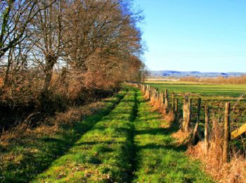 Tour Wandern Tresson - Tresson - La Vallée de l'Etangsort 18 km - Photo