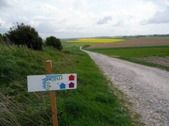 Tocht Stappen Bonningues-lès-Calais - Chemin de la Folie - Bonningues-les-Calais - Photo