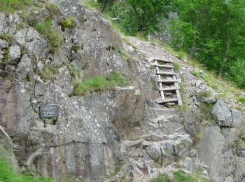 Tour Wandern Woll - Du Hohneck au Kastelberg par les Spietzkoepfe et le Sentier des Névées - Photo