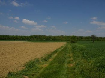 Tour Wandern Paulhac - Le Bois de Buzet - Photo