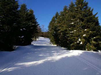 Trail Snowshoes Aucun - Le Soum de Berducou - Photo