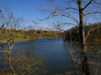 Tocht Stappen Caraman - Etang de l'Orme Blanc - Caraman - Photo