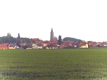 Tocht Stappen Villers-au-Tertre - Au départ du Mont Tilleul  (Villers-au-tertre) - Photo