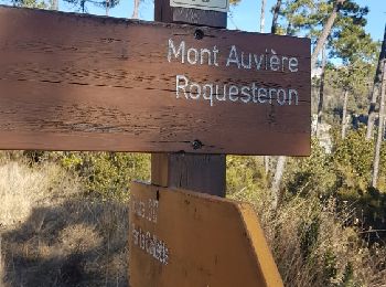 Tour Wandern Pierrefeu - MONT AUVIERE - Photo