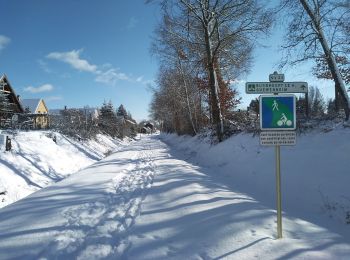 Trail Winter sports Sentheim - SentheimGuewenheimSki - Photo