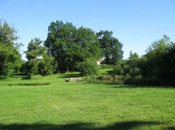 Randonnée Marche Essarts-en-Bocage - Sentier de l'Ansonnière - Les Essarts - Photo