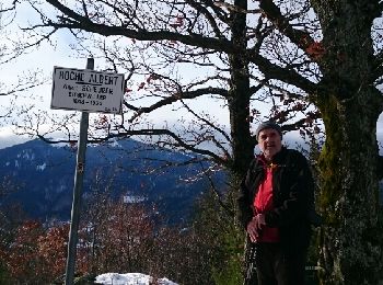 Trail Walking Thann - thann engelbourg col grumbach  - Photo