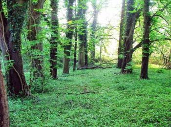 Tour Wandern La Neuville-sur-Ressons - Circuit du Mont Bellot - La Neuville sur Ressons - Photo