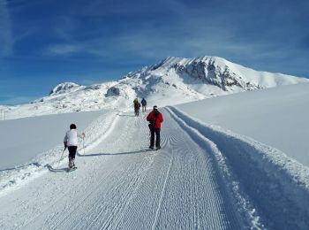 Tocht Sneeuwschoenen Auris - Alpe d'Huez - Plateau Rochette - Photo