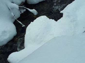 Randonnée Raquettes à neige Auris - Alpe d'Huez - Gorges de La Sarenne - Photo