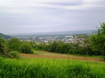 Randonnée Marche Agen - La ville d'Agen, vue du coteau de l'Ermitage - Pays de l'Agenais - Photo
