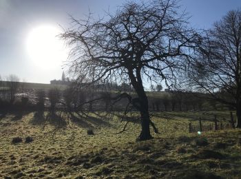 Tocht Stappen Ronse - hauteurs de Ronse 16,2 km  - Photo