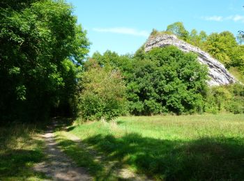 Trail Mountain bike Givet - Balade à Givet - Photo