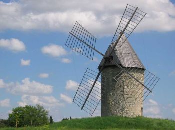 Tocht Stappen Foulayronnes - Foulayronnes, les ailes du moulin de Talives - Pays de l'Agenais - Photo