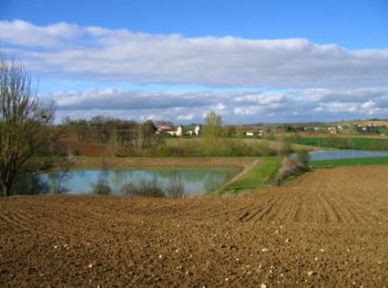 Tour Wandern Laplume - Brimont, une autre église de Laplume - Pays de l'Agenais - Photo