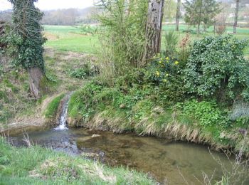 Randonnée Cheval Pont-du-Casse - Pont-du-casse, le circuit du chêne - Pays de l'Agenais - Photo