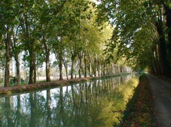 Trail Walking Caumont-sur-Garonne - Le Canal de Caumont à Fourques - Pays Val de Garonne - Gascogne - Photo