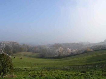 Tour Wandern Couthures-sur-Garonne - Couthures, la promenade des Gens de Garonne - Pays Val de Garonne - Gascogne - Photo