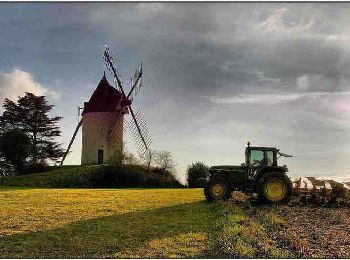 Trail Walking Gontaud-de-Nogaret - Gontaud-de-Nogaret, la balade du Moulin de Gibra - Pays Val de Garonne - Gascogne - Photo