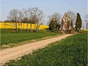 Randonnée Cheval Gontaud-de-Nogaret - Bistauzac, une succession de points de vue - Pays Val de Garonne - Gascogne - Photo