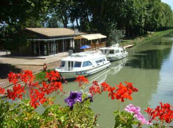 Percorso Marcia Lagruère - Lagruère, dans la boucle de l'Ourbise - Pays Val de Garonne - Gascogne - Photo