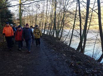 Tour Wandern Montigny-le-Bretonneux - Moulin à Renard 07/02/2019 - Photo