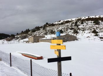 Tocht Sneeuwschoenen Aucelon - raquettes depuis Aucelon - Photo