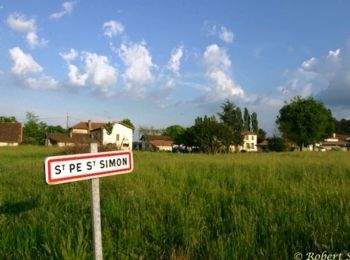 Tour Wandern Saint-Pé-Saint-Simon - Saint-Pé-Saint-Simon, aux confins du Gers et des Landes - Pays d'Albret - Photo
