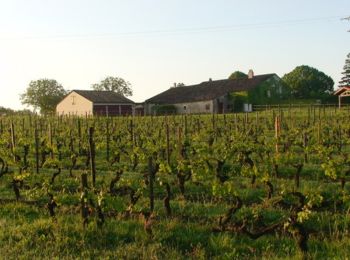 Randonnée V.T.T. Loubès-Bernac - Loubès-Bernac, aux confins de la Gironde et de la Dordogne - Pays du Dropt - Photo
