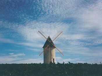 Tocht Paard Villeneuve-de-Duras - Le Moulin de Marquet, dans les vignes de Villeneuve-de-Duras - Pays du Dropt - Photo