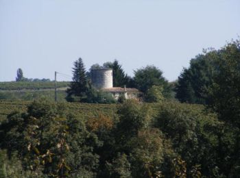 Excursión Bici de montaña Villeneuve-de-Duras - Villeneuve-de-Duras, à l'orée de la Gironde - Pays du Dropt - Photo