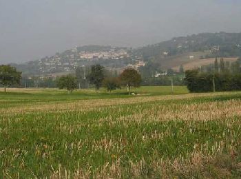Randonnée Marche Penne-d'Agenais - Magnac, balade autour du Pech de la Citerne - Pays de la vallée du Lot - Photo