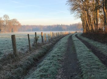 Trail Walking Mesnil-Roc'h - 14.02.2019 - Lanhélin à Meillac - Photo