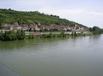 Randonnée V.T.T. Port-Sainte-Marie - Port-Sainte-Marie, sur la route des pèlerins de Saint-Jacques - Pays de la vallée du Lot - Photo