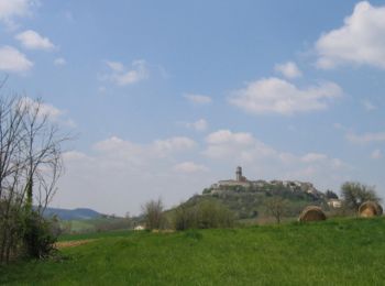 Tour Wandern Thézac - Thézac, la légende du vin du Tsar - Pays de la vallée du Lot - Photo